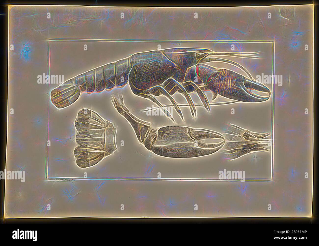 Lithographischer Nachweis - Yabby, Cherax Destructor, Ludwig Becker, handkolorierter lithographischer Nachweis eines Yabby, Cherax Destructor, von Ludwig Becker für Platte 29 im Prodromus der Zoologie von Victoria von Frederick McCoy., von Gibon neu vorgestellt, Entwurf eines warmfröhlichen Lichts und Lichtstrahlen. Klassische Kunst mit moderner Note neu erfunden. Fotografie, inspiriert vom Futurismus, die dynamische Energie moderner Technologie, Bewegung, Geschwindigkeit und Kultur revolutionieren. Stockfoto