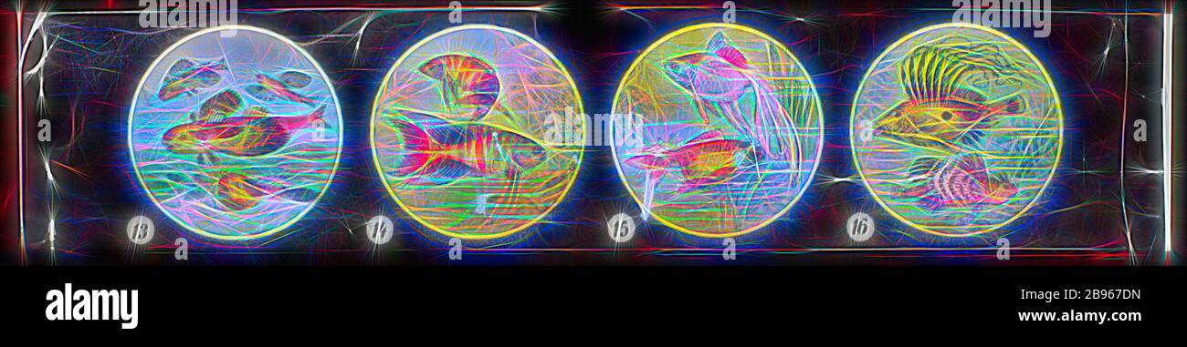 Laternenschlitten - Miniaturpanoramaformformat Mehrfachbild, Meerestiere, ca. 1860-1920, alternativer Name(n): Kinderschlitten, Panorama Magic Lantern Folie diese Laternenrutsche ist eine von mehreren Objektträgern, die verschiedene Arten von Meereslebewesen darstellen. Diese Laternenschlittenserie ist Teil der Francis Collection of Pre-Cinematic Apparates and Ephemera the Australian and Victorian Governments in 1975., von Gibon reimaginiert, Design of warm heiter Glowing of Brightness and Light Rays Radiance. Klassische Kunst mit moderner Note neu erfunden. Fotografie inspiriert von Futurismus, die dynamische Energie von Mod Stockfoto