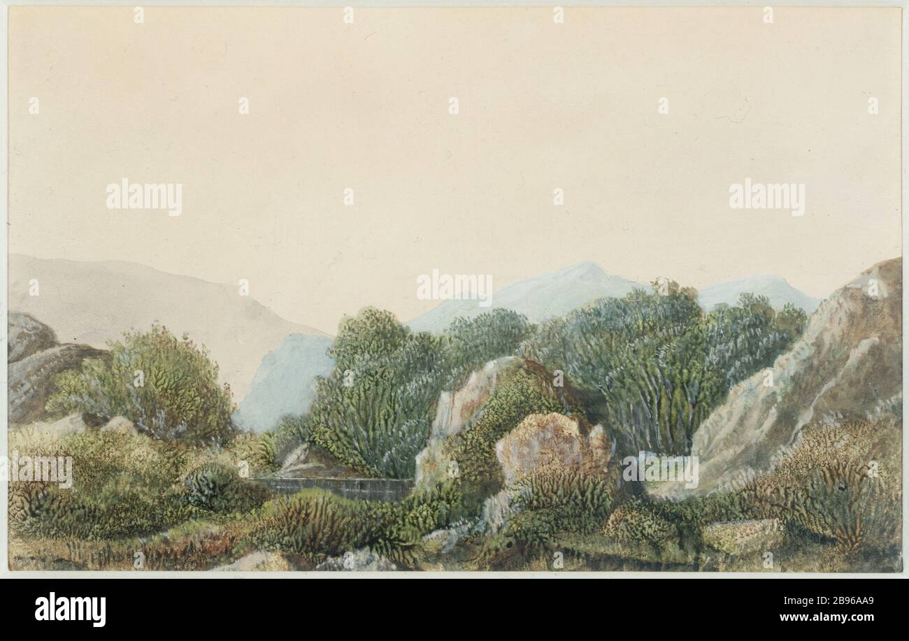 Dendrit, imaginäre Landschaft George Sand (1804-1876). "Endrite, paysage imaginaire". Aquarelle sur Papier. Paris, musée de la Vie romantique. Stockfoto