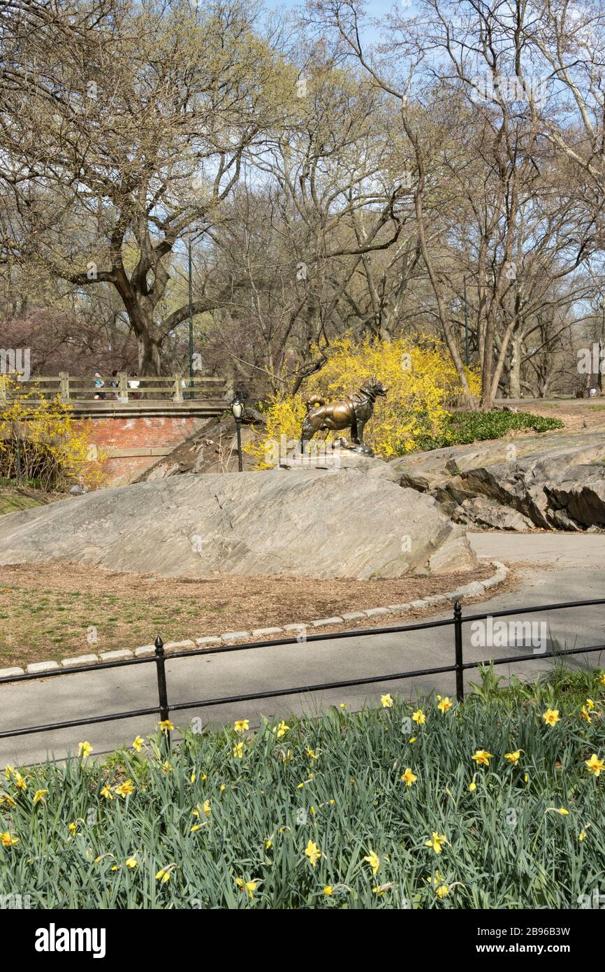 Berühmte Schlittenhundestatue, Balto, im Central Park NYC Stockfoto