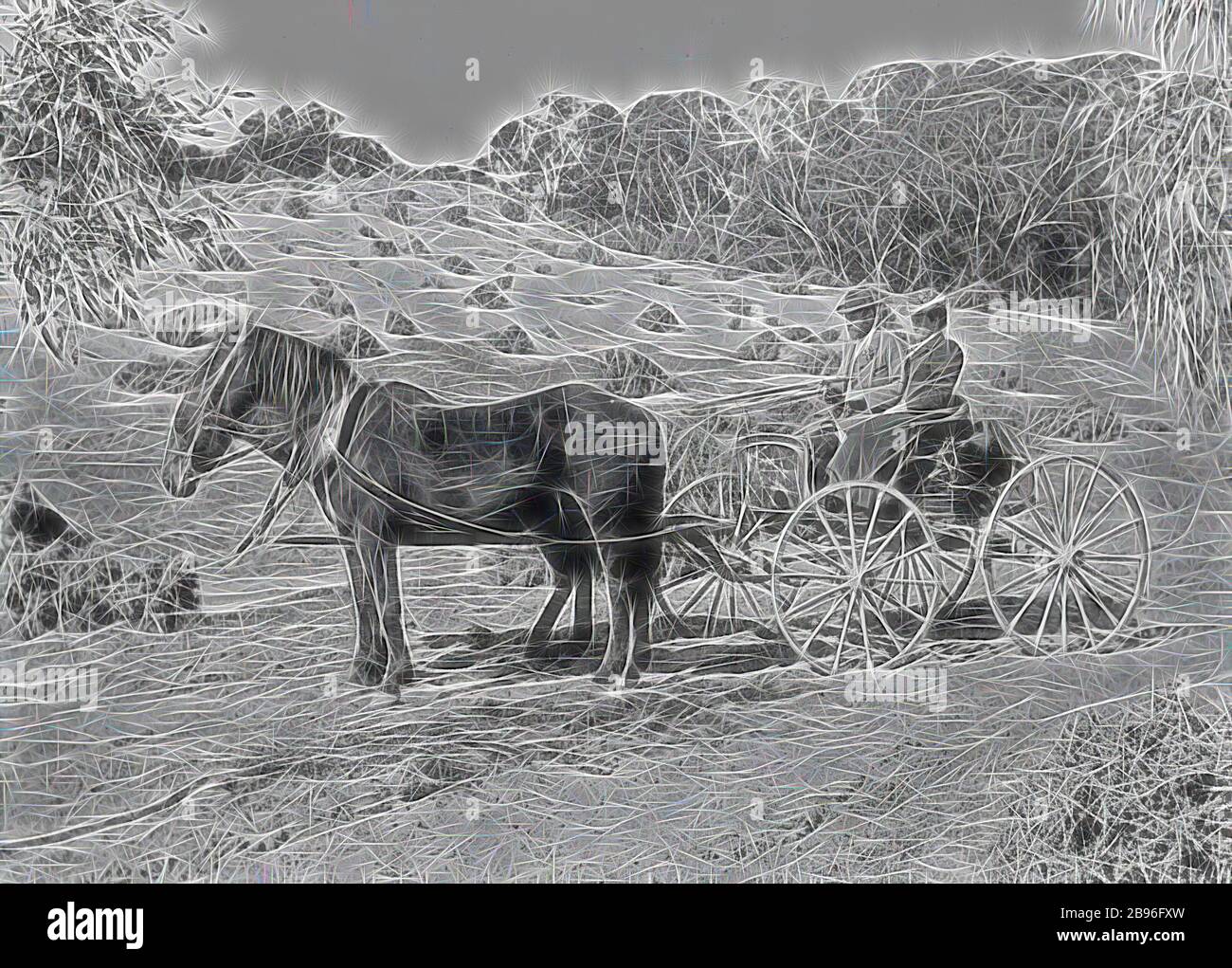 Negativ - New South Wales, ca. 1900, EIN gut gekleidetes Paar in Pferd und Kutsche in Sandhills auf der Station "Warrakoo". Rechts ist der Darling River zu sehen, der von Gibon neu vorgestellt wurde und ein warmes, fröhliches Licht von Helligkeit und Lichtstrahlen ausstrahlt. Klassische Kunst mit moderner Note neu erfunden. Fotografie, inspiriert vom Futurismus, die dynamische Energie moderner Technologie, Bewegung, Geschwindigkeit und Kultur revolutionieren. Stockfoto