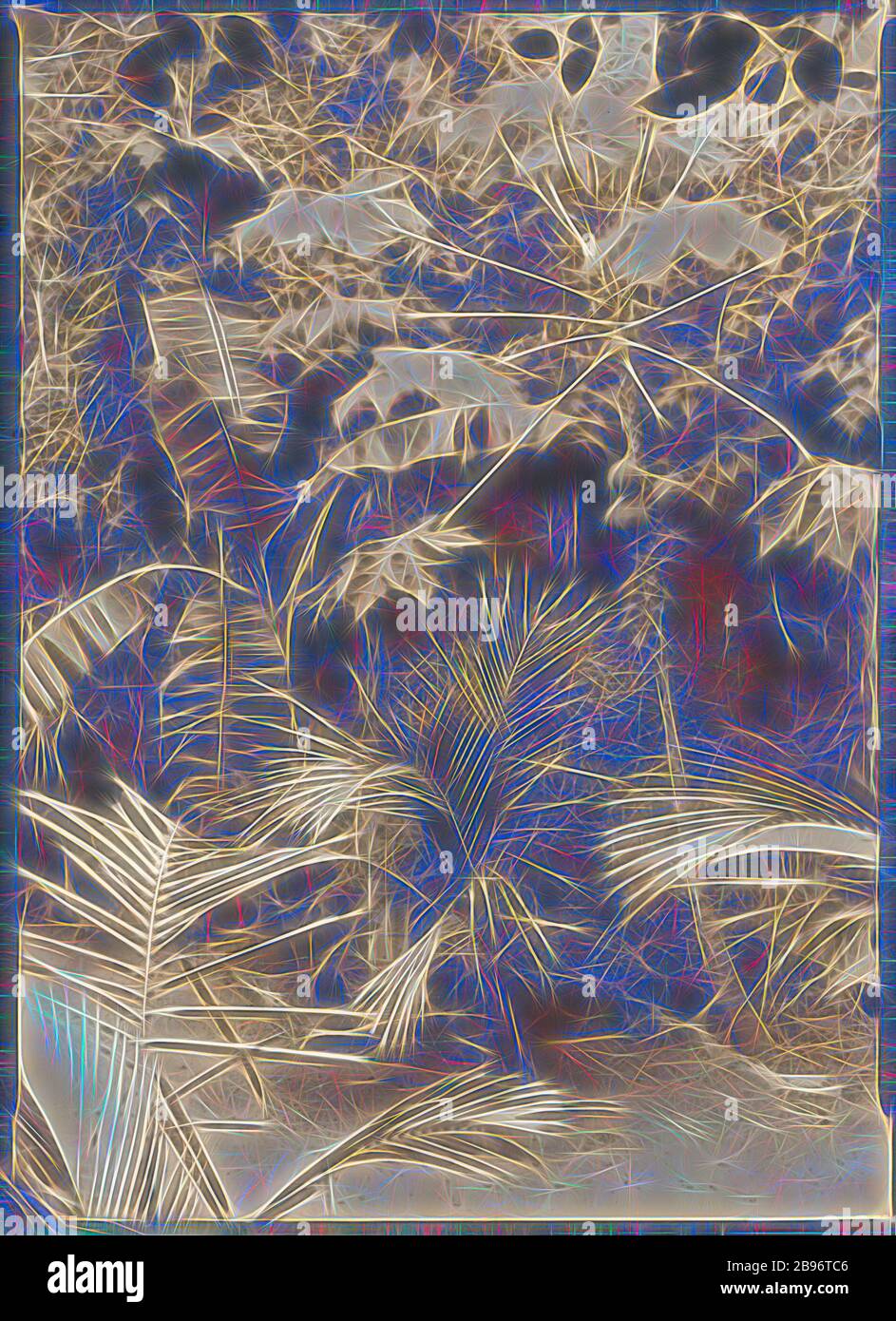 Foto, Paw Paw Tree in Back Garden, Kodak Branch, Townsville, QLD, 1930er Jahre, Sepia Toned Foto des Gartens auf der Rückseite des Kodak Australasia Pty Ltd Filialladens und am selben Tag Verarbeitungslabor auf Flinders St, Townsville, Queensland, in den 1930er Jahren. Dieser Schuss konzentriert sich auf eine fruchtige Pfote Pfote Baum am Rande eines Gartenbeet, auch mit anderen tropischen Palmen und Reben gefüllt. Dieses Kodak Geschäft wurde 1920 gebaut, das zweite Stockwerk wurde 1929 hinzugefügt. Oben war, neu gestaltet von Gibon, Design von warmen fröhlich glühen von Helligkeit und Lichtstrahlen Ausstrahlung. Klassische Kunst mit einem Modder neu erfunden Stockfoto