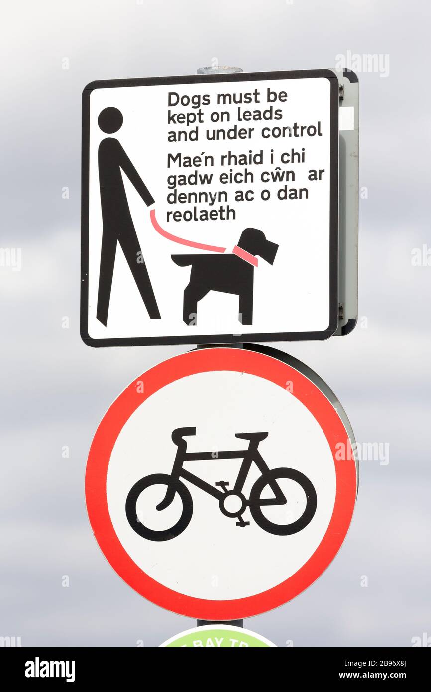 Schilder müssen in Englisch und Walisisch unter Kontrolle gehalten werden, und es muss kein Radfahrschild, Cardiff Bay, Wales, Großbritannien, vorhanden sein Stockfoto