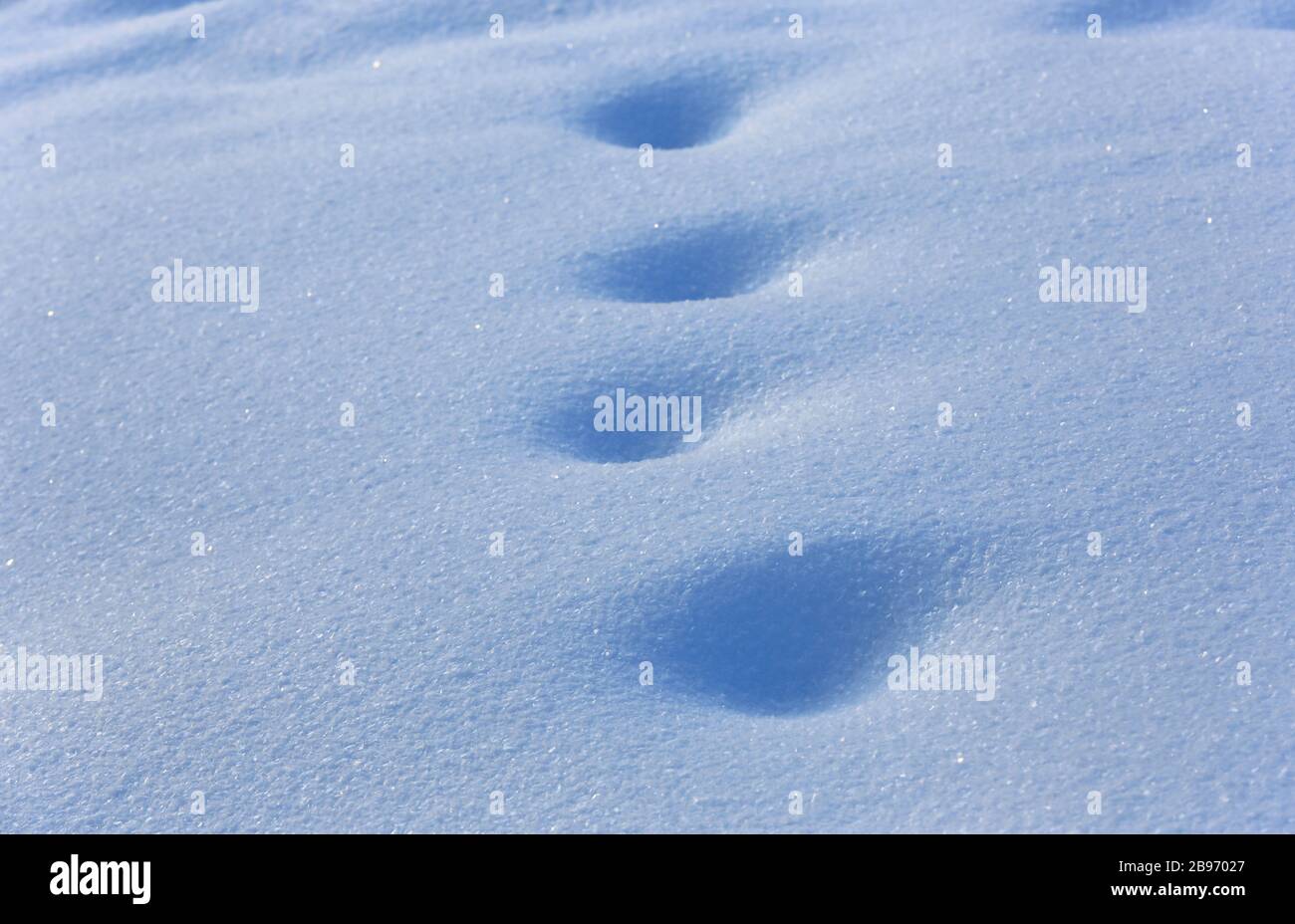 Fußabdrücke auf blauer Schneeoberfläche - abstrakter Hintergrund Stockfoto