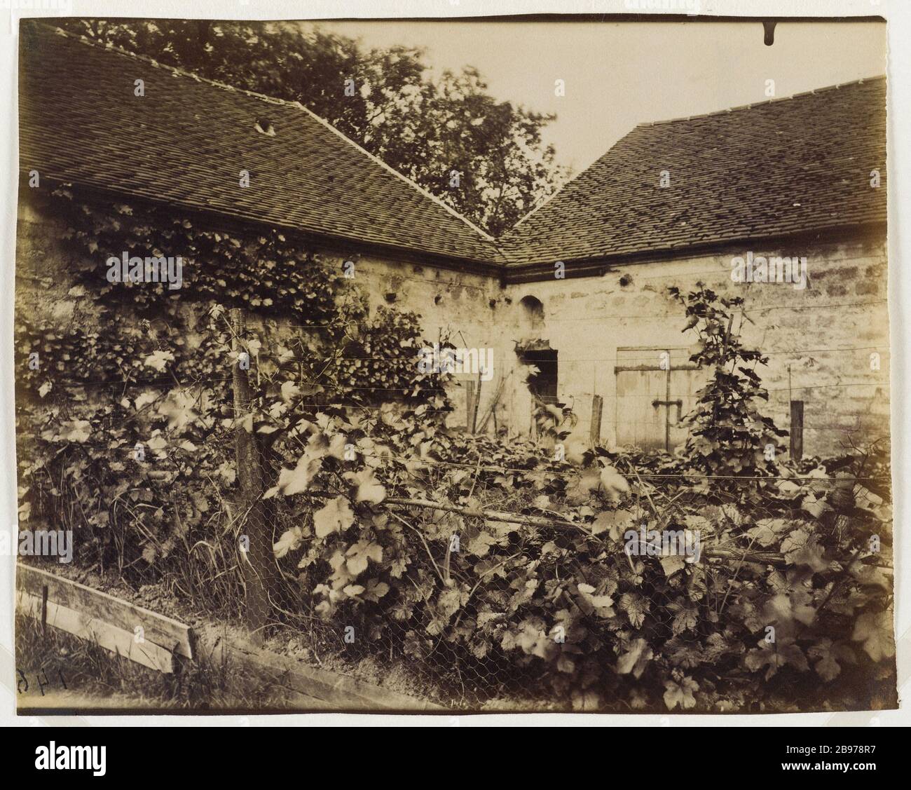 HALLEN DES WEINLAGERS Bercy, 12. BEZIRK, PARIS Halles aux vins des entrepôts de Bercy, Paris (XIIème arr.), 1913. Photographie d'Eugène Atget (1857-1927). Paris, musée Carnavalet. Stockfoto