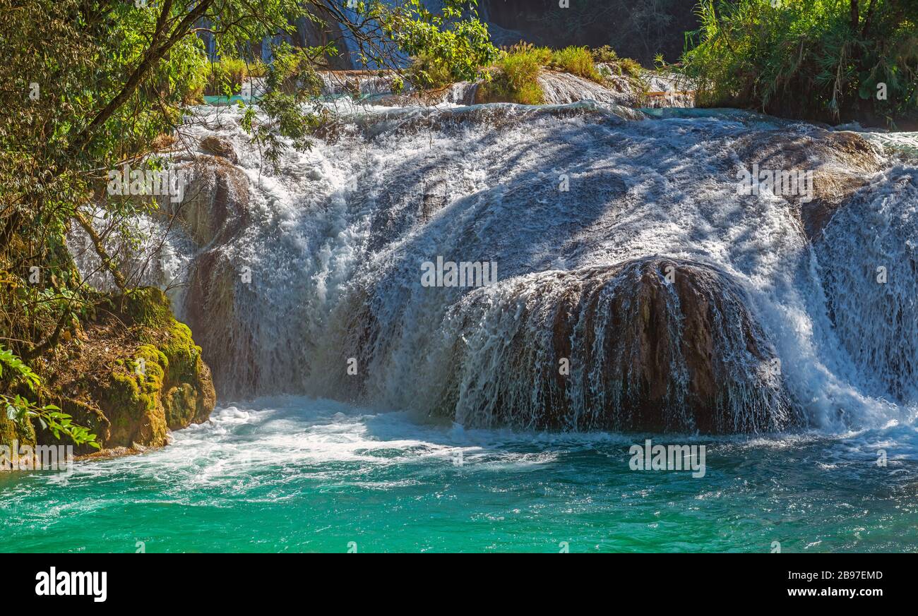 Nahaufnahme einer Kaskade der Agua Azul Wasserfälle im Regenwald von Chiapas, Palenque, Mexiko. Stockfoto