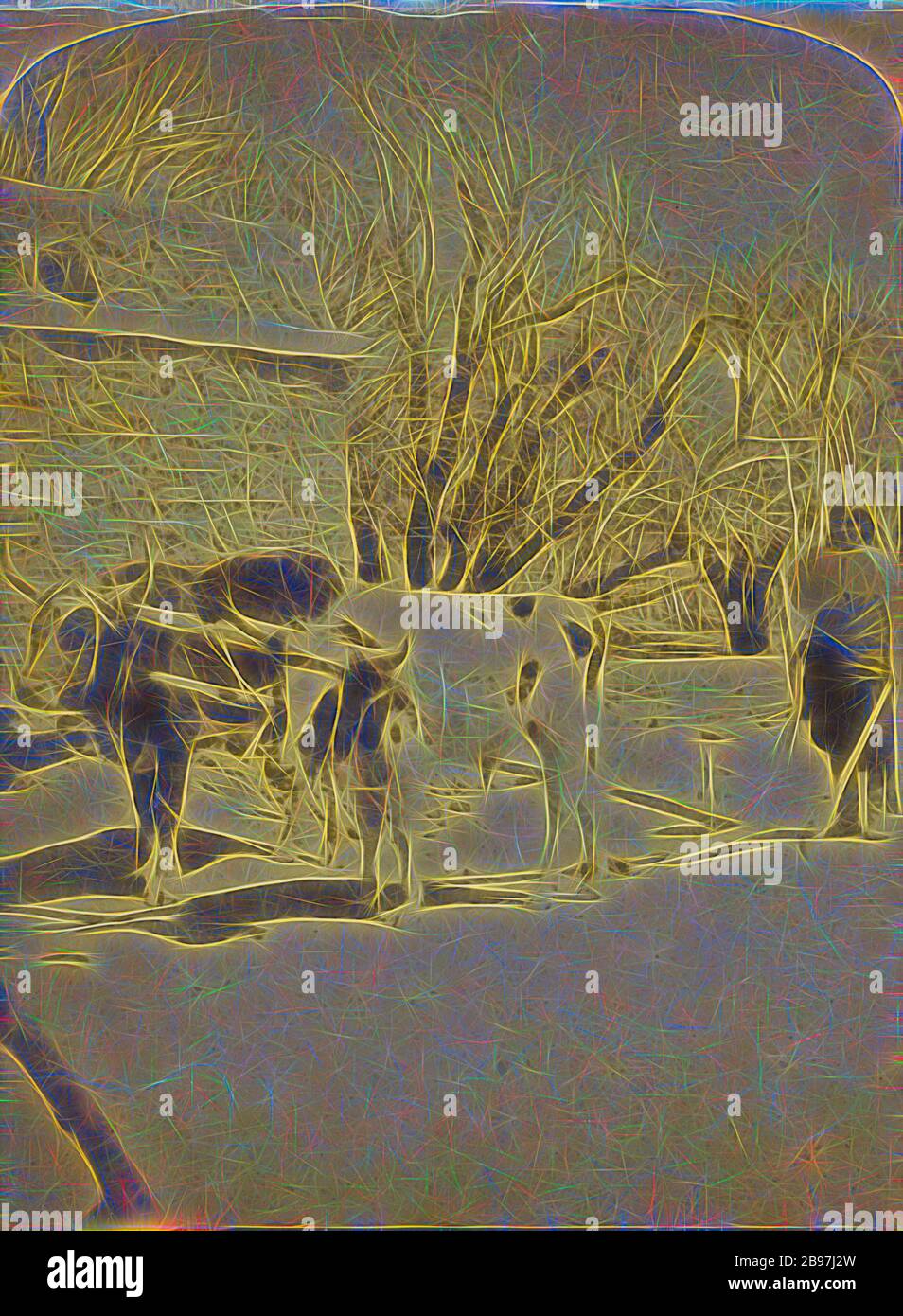 Mex. Pflug, das alte Noah-Patent, das von den Testikons verwendet wird. Pueblo-Tesuque-Serie., George C. Bennett (amerikanisch, zwischen 216-285), ca. 1885, Albumen-Silberdruck, von Gibon neu vorgestellt, Design von warmem, fröhlichem Leuchten von Helligkeit und Lichtstrahlen. Klassische Kunst mit moderner Note neu erfunden. Fotografie, inspiriert vom Futurismus, die dynamische Energie moderner Technologie, Bewegung, Geschwindigkeit und Kultur revolutionieren. Stockfoto