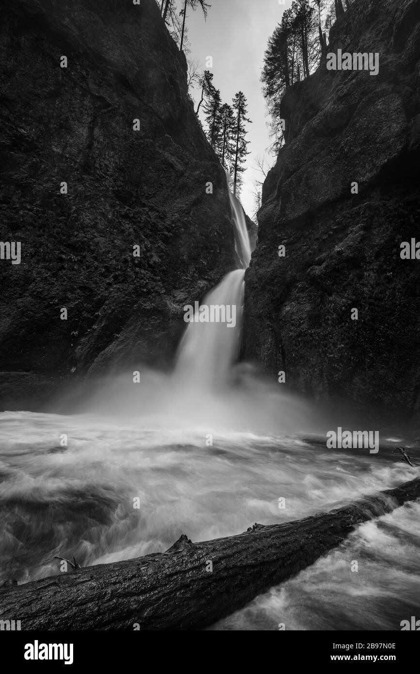 Oregon Wasserfall an den Wahclella Falls Stockfoto