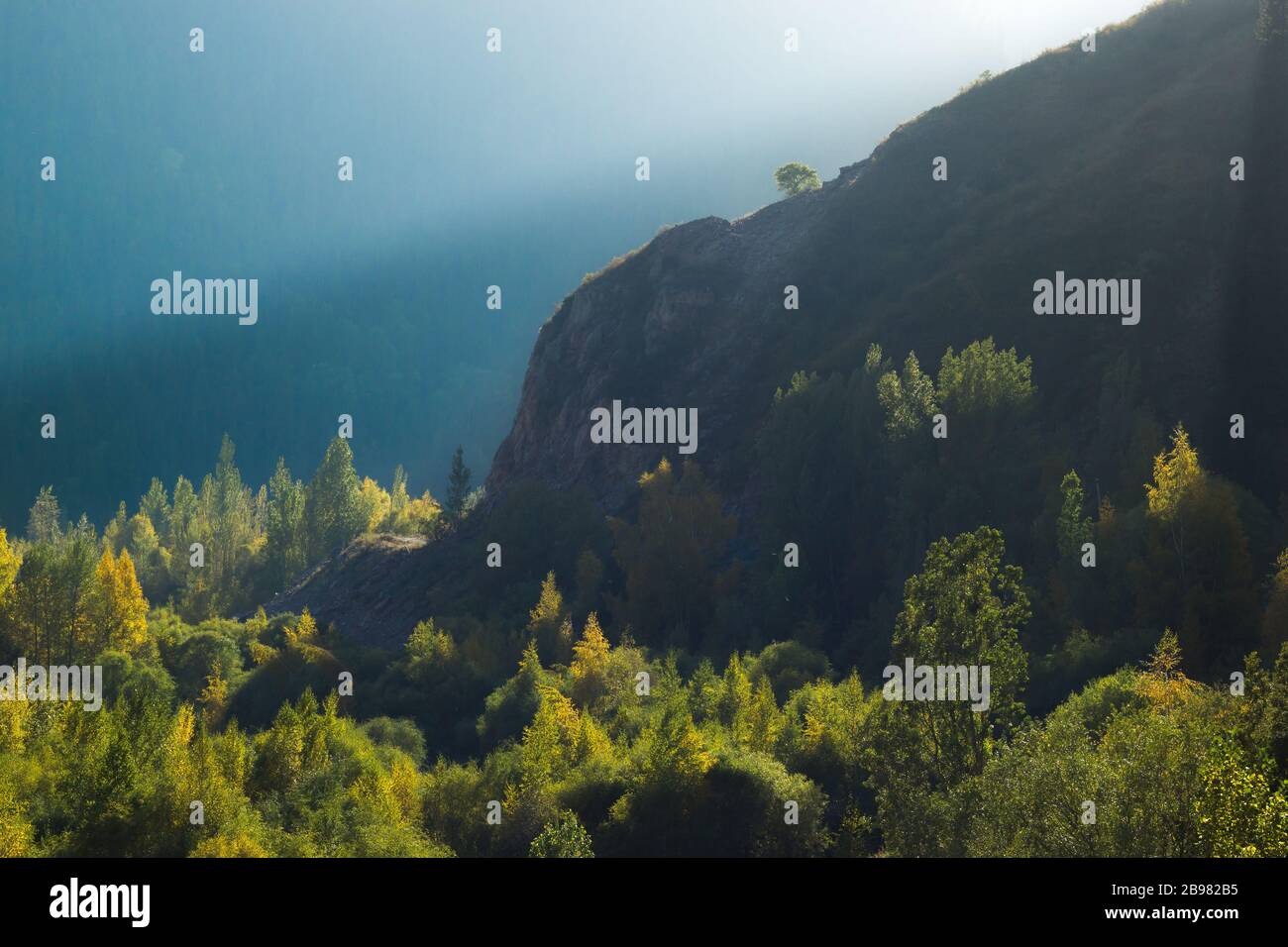 Eine über dem Rest. Stockfoto