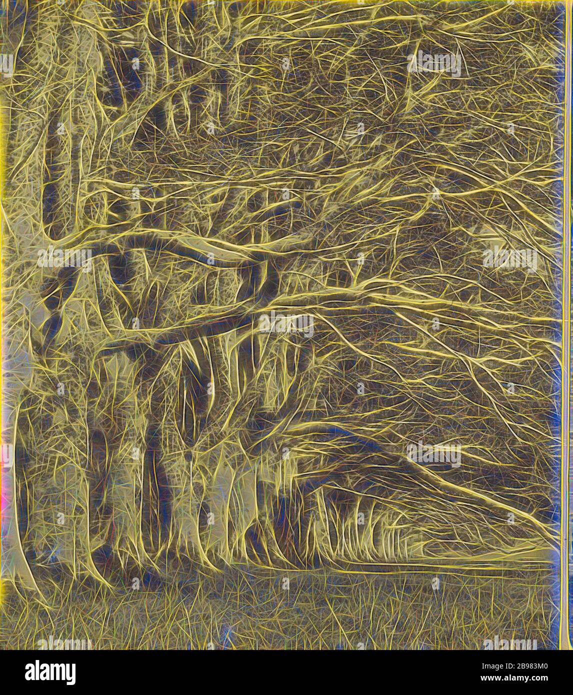 The Dhu Loch Avenue, Inverary., George Washington Wilson (Scottish, 1823 - 1893), um 1865, Albumen Silberdruck, neu gestaltet von Gibon, Design von warmen fröhlich glühen von Helligkeit und Lichtstrahlen Ausstrahlung. Klassische Kunst neu erfunden mit einem modernen Twist. Fotografie inspiriert von Futurismus, umarmt dynamische Energie der modernen Technologie, Bewegung, Geschwindigkeit und Kultur revolutionieren. Stockfoto