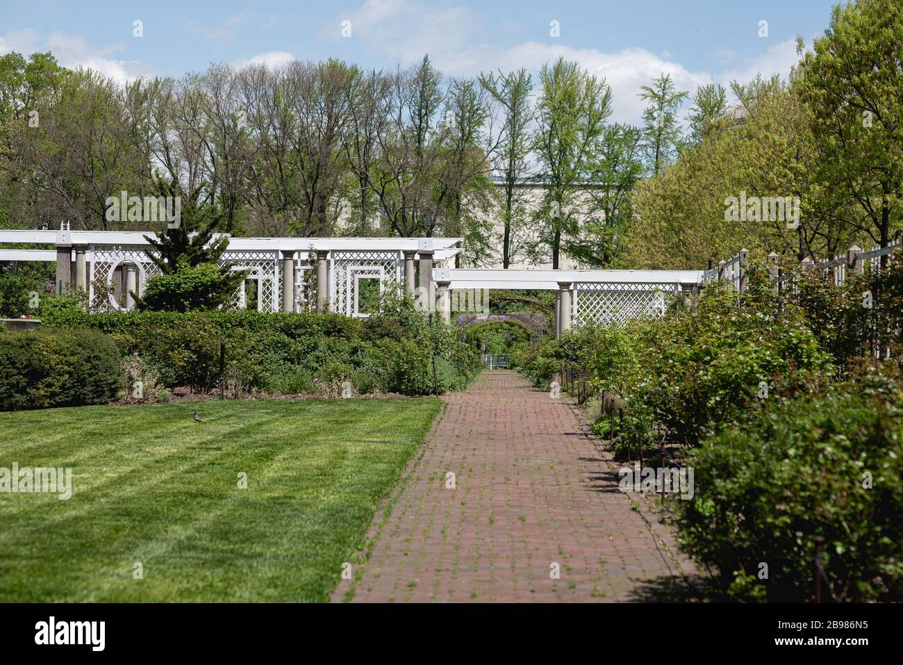 Der Frühling ist im Brooklyn Botanical Garden für ihr jährliches Cherry Blossom Festival entstanden. Stockfoto