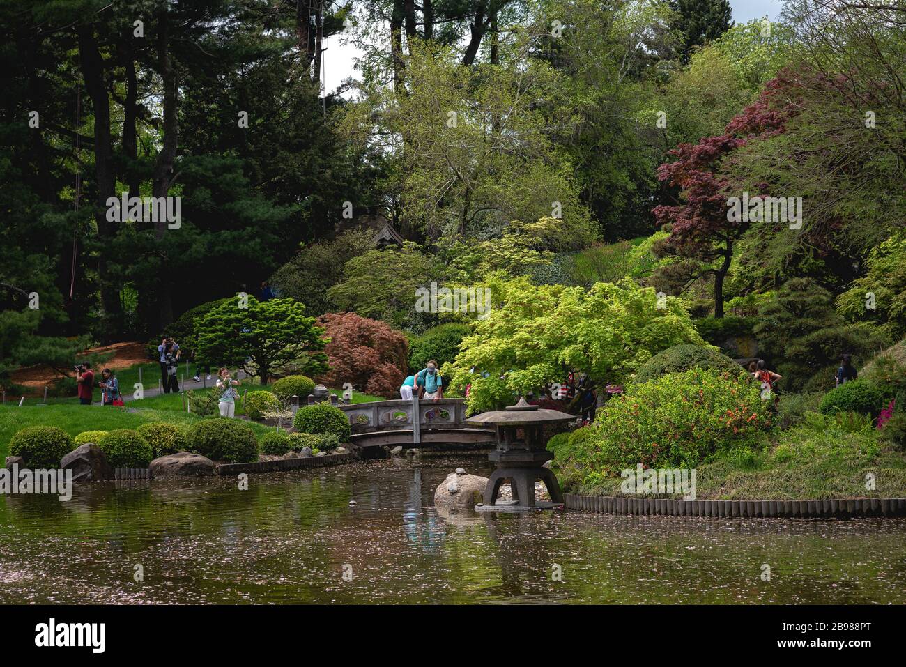Der Frühling ist im Brooklyn Botanical Garden für ihr jährliches Cherry Blossom Festival entstanden. Stockfoto