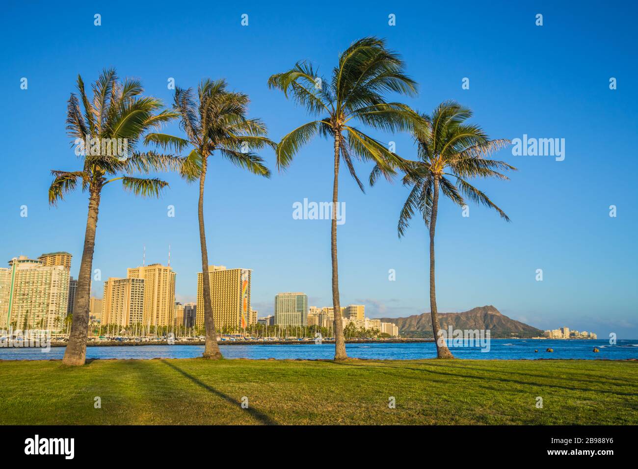 Honolulu Waikiki Beach Palmen bei Sonnenuntergang, Oahu, Hawaii Stockfoto
