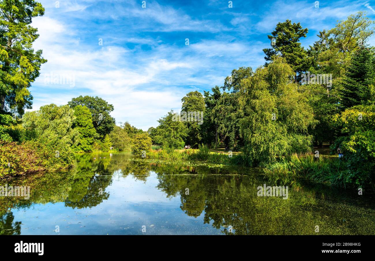 Lake in Kew Botanic Gardens in London Stockfoto