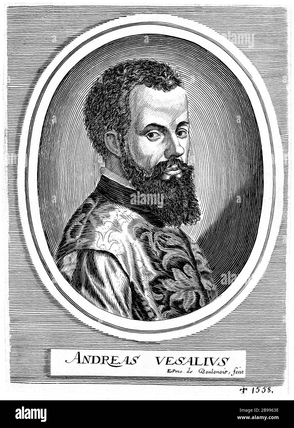 1542, BELGIEN: Der flamische Anatom ANDREAS VESALIUS (* 1514; † 1564) alias ANDREA VESALIO alias Andreas van Wesel. Autor von de Humani Corporation Fabrica Libri Septem (auf dem Gewebe des menschlichen Körpers). Porträt Radierung im Alter von 28 Jahren von Edmède Boulonois , 1682 . - ANATOMIE - ANATOMIE - ANATOM - ANATOMISTA - Wissenschaftler - Porträt - Ritratto - DOTTORE - MEDICO - MEDICINA - Medizin - SCIENZA - WISSENSCHAFT - DOTTORE - MEDICIAN - Illustration - Gravur - Incision - Bart - Barba - BELGIO -- Archivio GBB Stockfoto