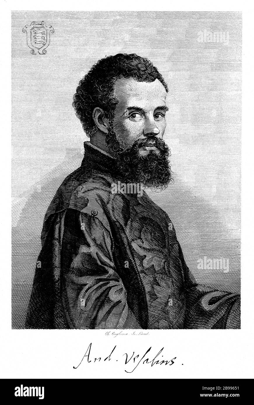 1542, BELGIEN: Der flamische Anatom ANDREAS VESALIUS (* 1514; † 1564) alias ANDREA VESALIO alias Andreas van Wesel. Autor von de Humani Corporation Fabrica Libri Septem (auf dem Gewebe des menschlichen Körpers). Porträt Radierung im Alter von 28 Jahren von Karel Onghena im Jahre 1841 . - ANATOMIE - ANATOMIE - ANATOM - ANATOMISTA - Wissenschaftler - Porträt - Ritratto - DOTTORE - MEDICO - MEDICINA - Medizin - SCIENZA - WISSENSCHAFT - DOTTORE - MEDICIAN - Illustration - Gravur - Incision - Bart - Barba - BELGIO -- Archivio GBB Stockfoto