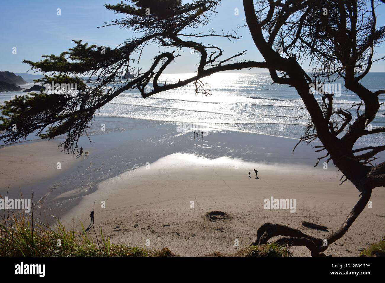 Blick auf Indian Beach im Abendlicht im Ecola State Park, Clatsop County, Oregon Coast, USA. Stockfoto