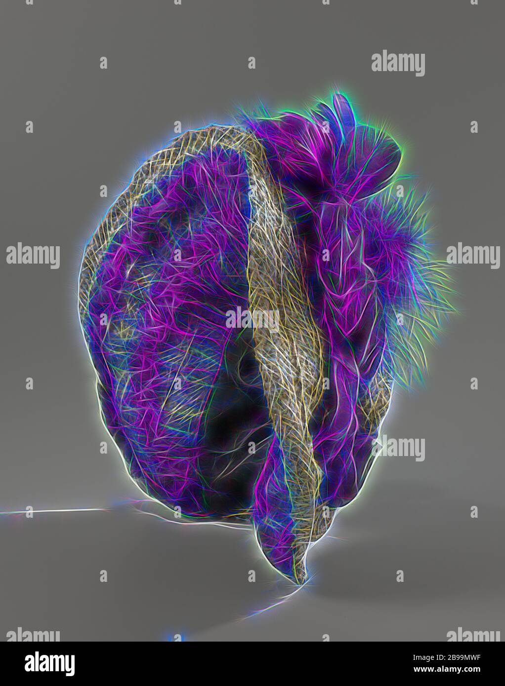 Hut aus silbergrauem Stroh, verziert mit dunkelviolettem Blick de soie und einem Büschel aus violettfarbenen Federn, Hut aus silbergrauem Stroh. Breite Seiten, vorne mit Kerbe, hinten geflisselt und endet im nichts. Kleine, stehende, abgeflachte konische Kugel. Dekoration von dunkelvioletten Blick de soie, drapiert am Rand und in Rüschen unter dem Rand. Auf der Vorderseite mit violetten Federn bestreuen. Adresse auf dem schwarzen Seidenfutter, verblasste goldene Buchstaben: C. van der Hand (oder: Hant?)., C. van der Hand, Niederlande, c. 1880 - c. 1883, Absatz, versierend, H 10 cm B 12 cm T 27.5 cm × H 13.5 cm × B 33 cm, Reima Stockfoto