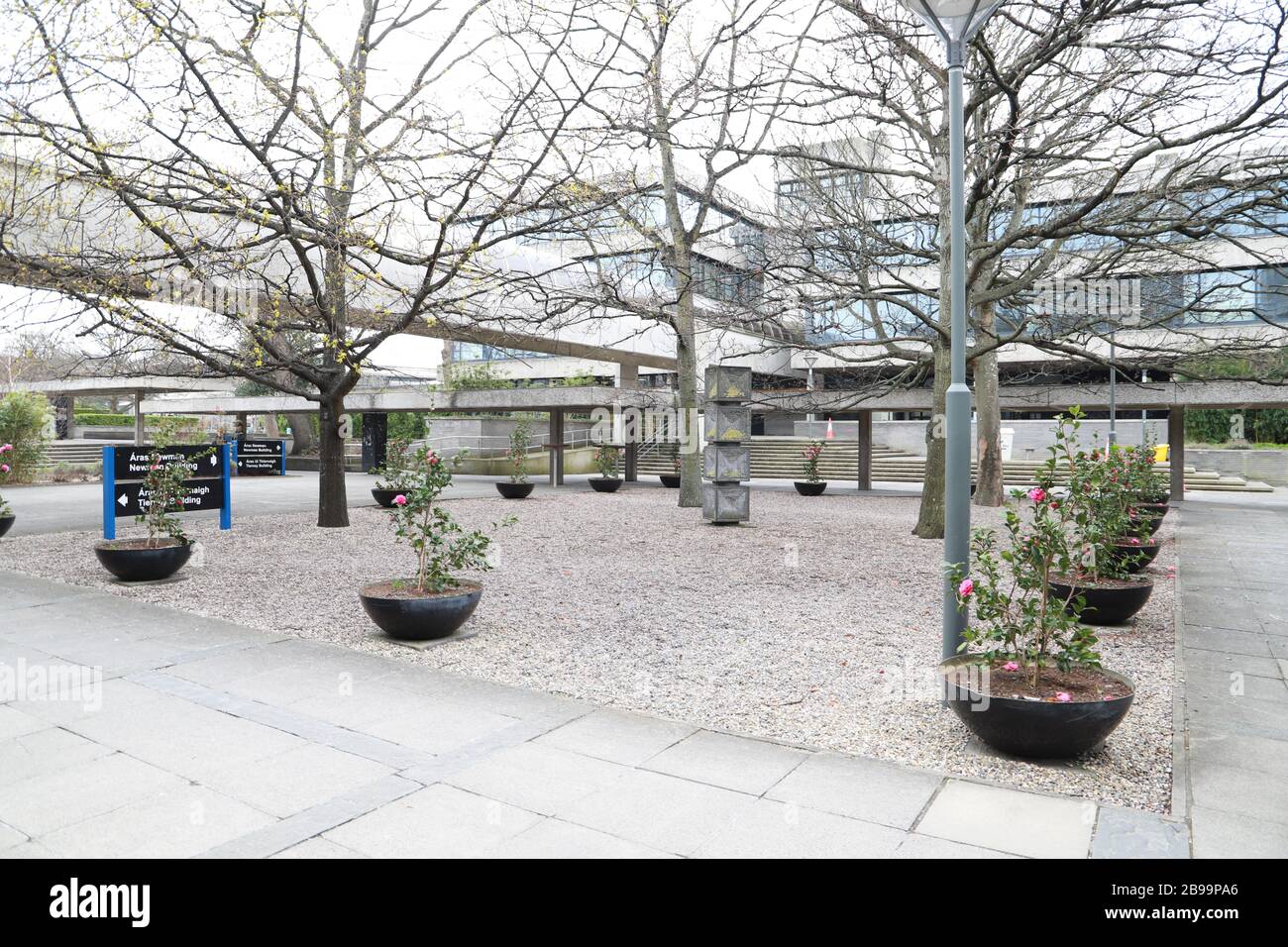 Dublin. März 2020. Das am 23. März 2020 aufgenommene Foto zeigt einen Blick auf den Shutdown Campus des University College Dublin in Dublin, Irland. Zwei weitere COVID-19-Patienten starben, während weitere 219 neue Fälle von Coronavirus am Montag in Irland bestätigt wurden, sagte das Gesundheitsministerium des Landes in einer Erklärung. Bis heute gab es insgesamt 1.125 bestätigte Fälle von COVID-19- und sechs COVID-19-bedingten Todesfällen im Land, sagte die Aussage und fügte hinzu, dass die letzten beiden Opfer der Krankheit beide männlich aus dem Osten Irlands sind. Kredit: Xinhua/Alamy Live News Stockfoto