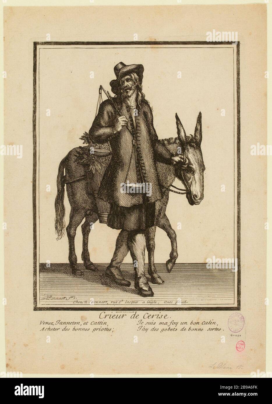 Cherry Crieur (wie aufgeführt) Stockfoto