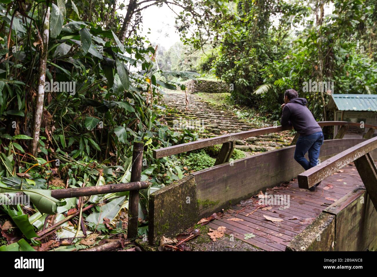 Der Mann, der auf einer Brücke steht und die Ruinen einer alten Zivilisation bewundert, die über zweitausend Jahre in den Bergen Costa Ricas florierte. Stockfoto