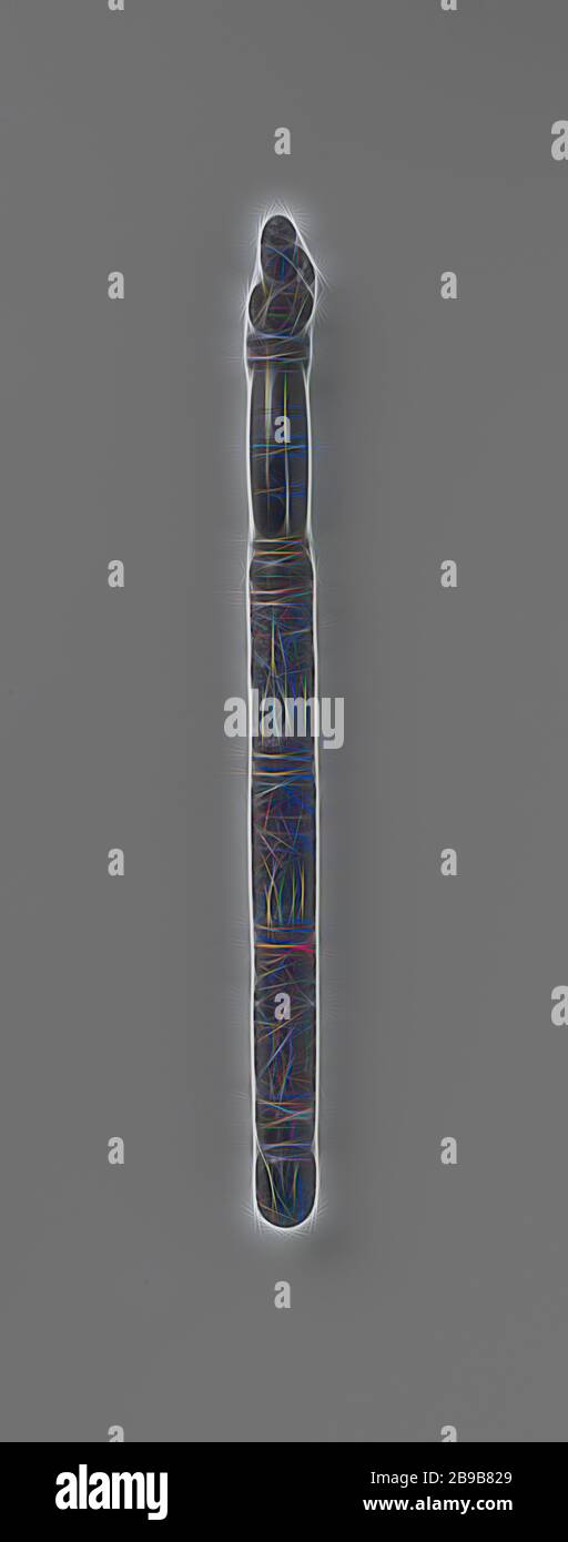 Das Personal der Wein-buyers' Guild, runden Holzstab mit Abschnitten, mit Schnitzereien verziert. Auf der Oberseite ist ein Bacchus auf einem Fass mit einer Trinkschale in der Rechten und einer Weintraube in der linken Hand. Mit Adam und Eva vor und nach dem Fall, einschließlich der Ehe und eine Frau mit zwei Kindern. Unter fünf rauchen und trinken Männer eine Runde tanzen. Die Angestellten endet in einer Weintraube. Es sollte Silber Ringe zwischen den Szenen, von denen nur die untere noch vorhanden ist, Niederlande, anonym, 1675-1700, Ebenholz (Holz), Silber (Metall), markanten (Metallverarbeitung), h 61 cm x t 4 cm. Stockfoto