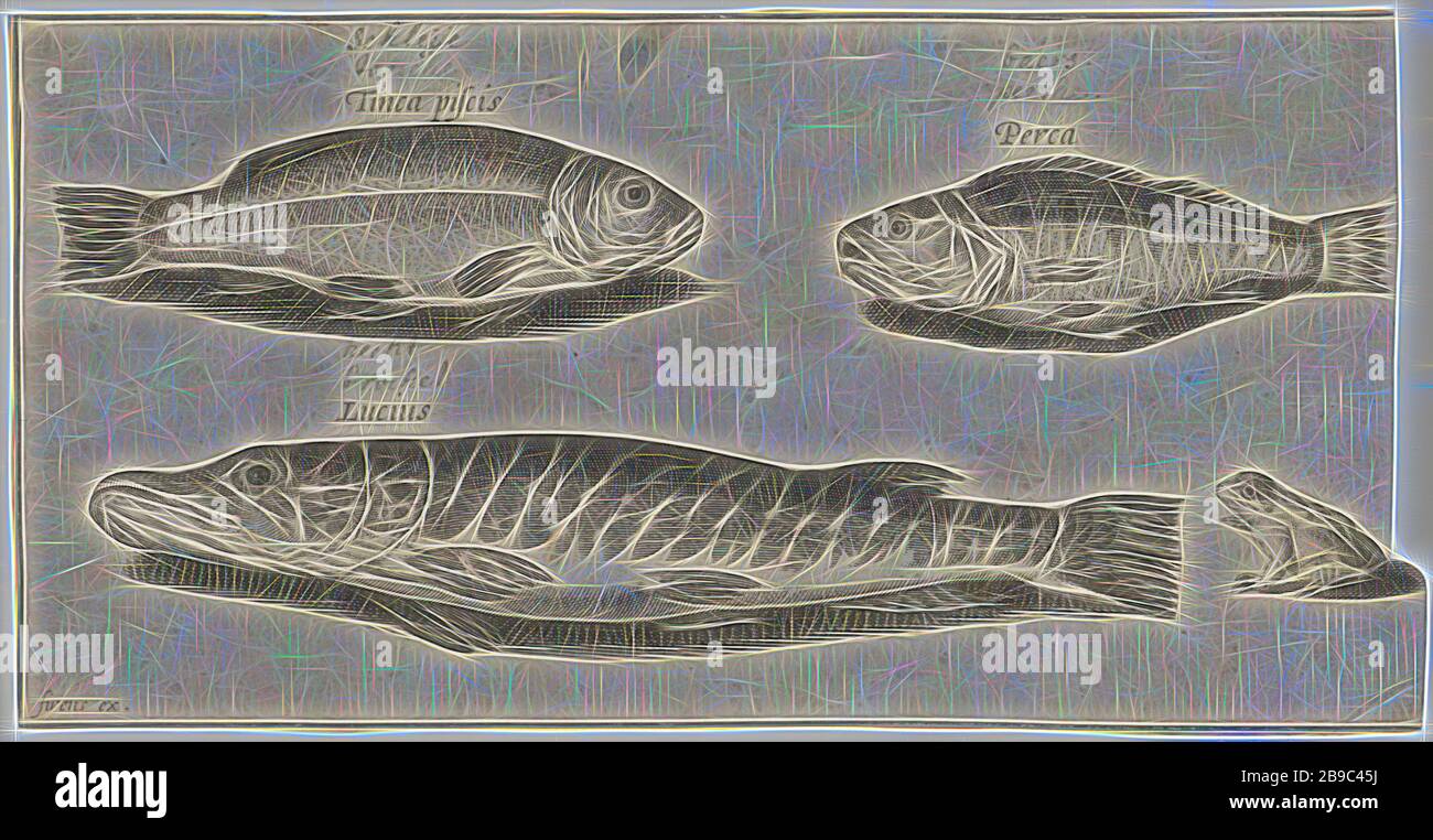 Pike, Barsch, Tench und ein Froschfisch (Serientitel) Piscivm vivae Icones (Serientitel), Fishes, Pierre Firens, 1600 - 1638, Papier, Gravur, h 93 mm × w 183 mm, von Gibon neu vorgestellt, Design von warmem, fröhlichem Leuchten von Helligkeit und Lichtstrahlen. Klassische Kunst mit moderner Note neu erfunden. Fotografie, inspiriert vom Futurismus, die dynamische Energie moderner Technologie, Bewegung, Geschwindigkeit und Kultur revolutionieren. Stockfoto