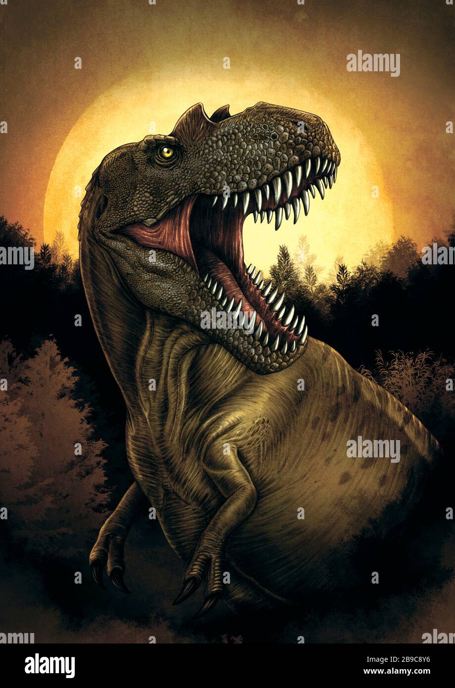 Albertosaurus sarcophagus -Fotos und -Bildmaterial in hoher Auflösung ...