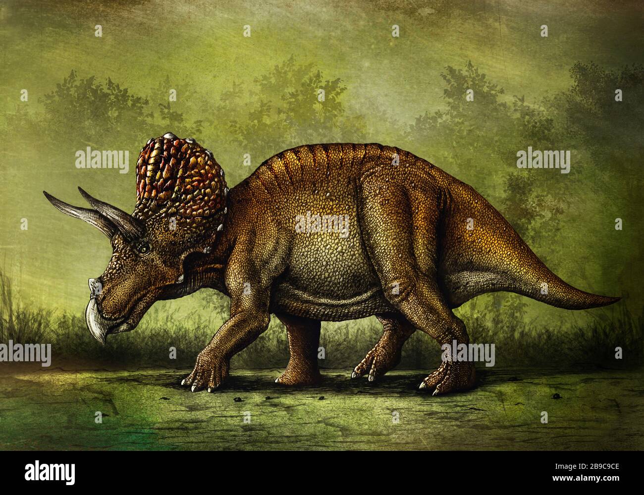 Triceratops horridus Dinosaurier. Stockfoto