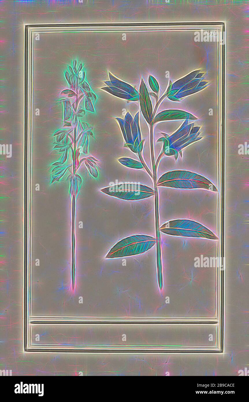Delphinium und Glocke (Campanula), Pink Delphinium und blaue Glocke (Campanula). Nummeriert oben rechts: 313. Teil des vierten Albums mit Blumen- und Pilzzeichnungen. Elftes von zwölf Alben mit Zeichnungen von Tieren, Vögeln und Pflanzen, die um 1600 bekannt wurden, im Auftrag von Kaiser Rudolf II Mit Erläuterungen auf Niederländisch, Latein und Französisch, Blumen (mit NAMEN), Anselmus Boetius de Boodt, 1596 - 1610, Papier, Aquarell (Farbe), Deckfarbe, Kreide, Pinsel, h 223 mm × w 145 mm, von Gibon neu vorgestellt, Design von warmfröhlichem Leuchten von Helligkeit und Lichtstrahlen. Die klassische Kunst wurde mit einem modernen T neu erfunden Stockfoto
