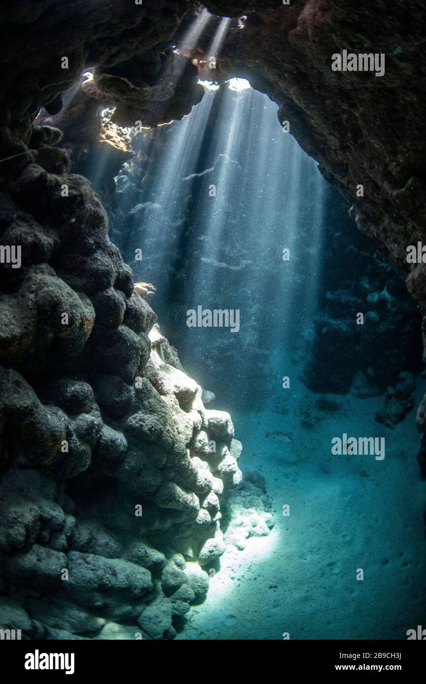 Eine Unterwasserkaverne wird von Sonnenstrahlen, dem Roten Meer, beleuchtet. Stockfoto