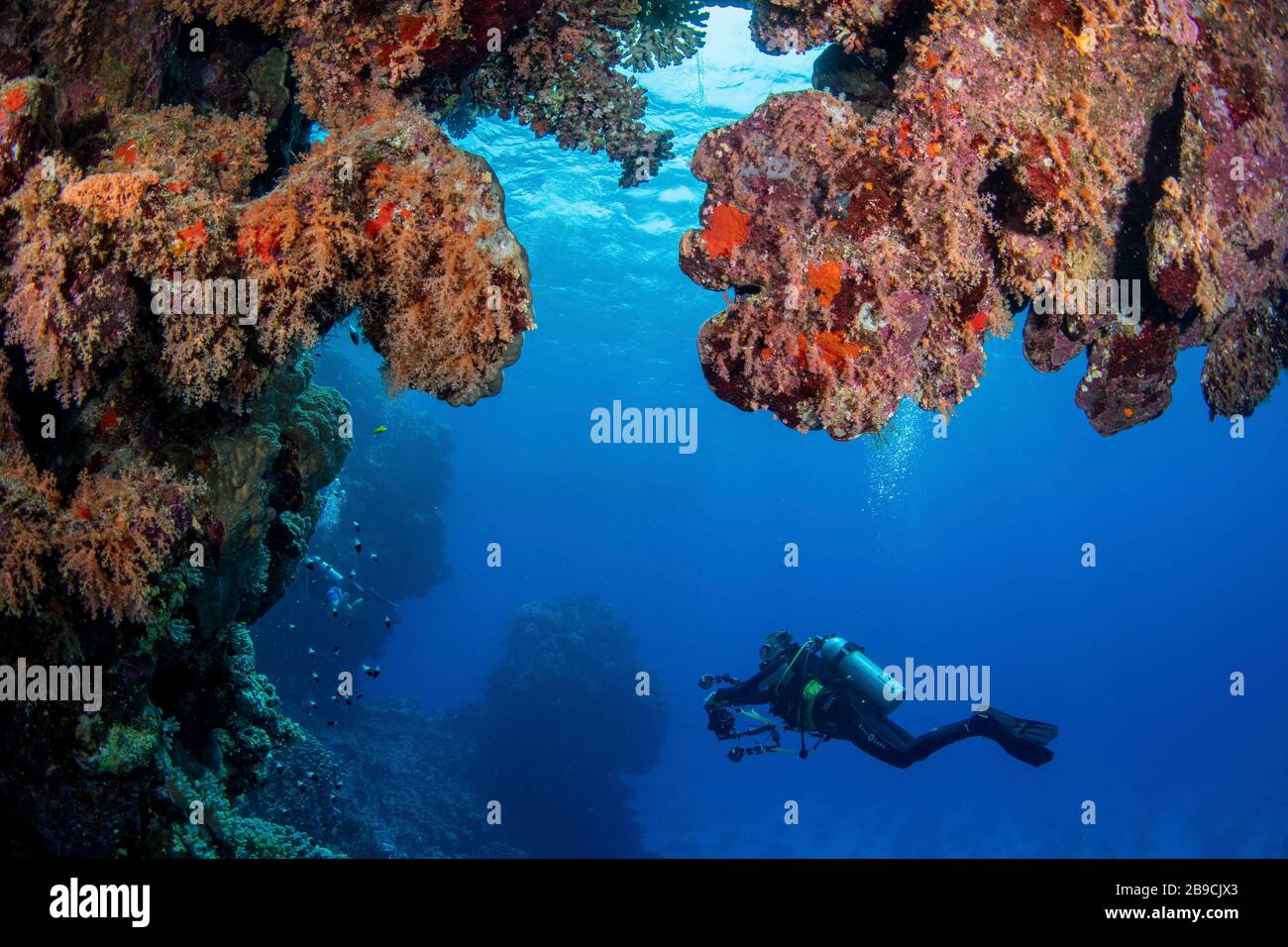 Ein Taucher erkundet ein Korallenriffe im Roten Meer, im Roten Meer. Stockfoto