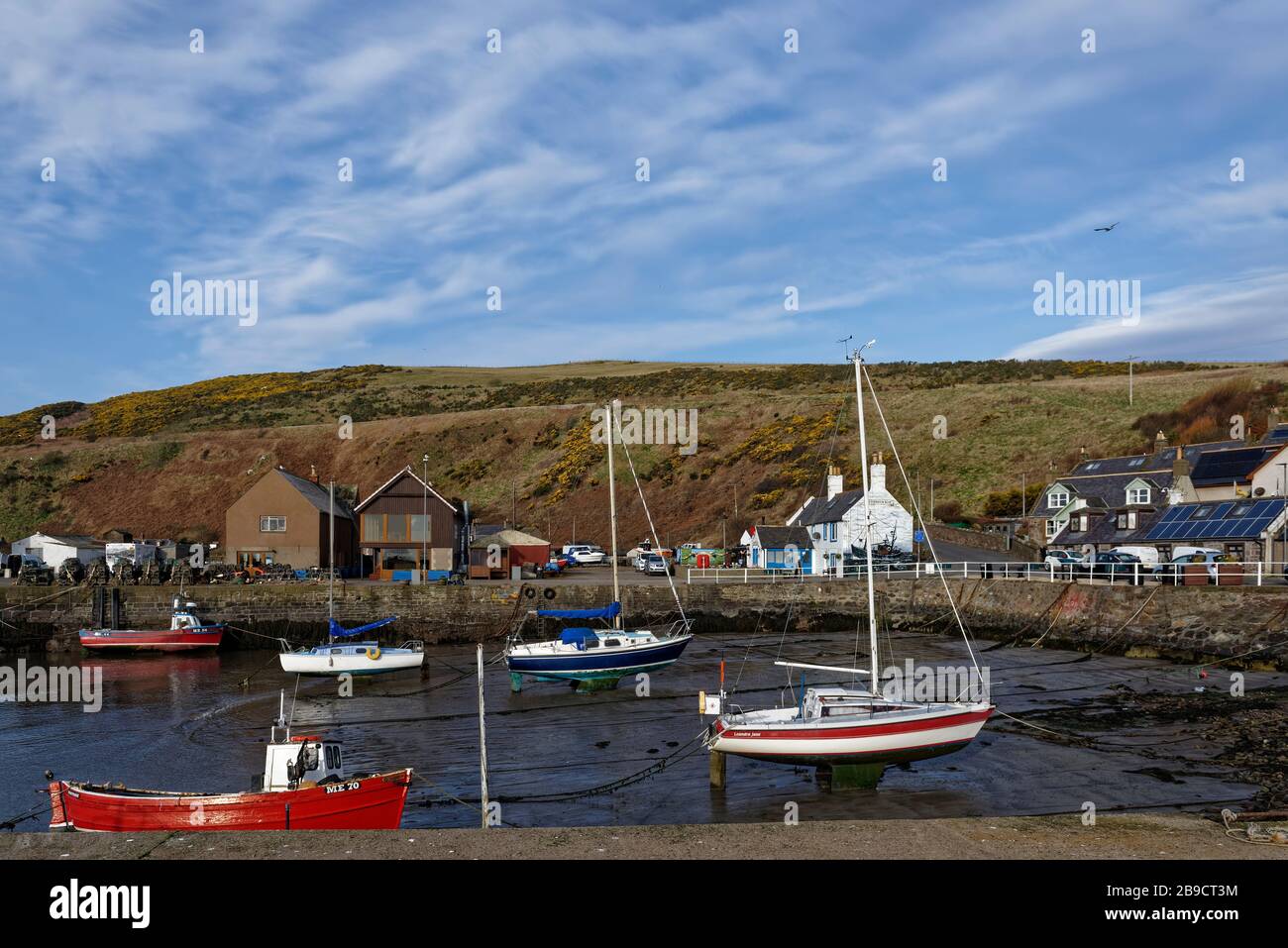 Der kleine Innenhafen mit seinen verschiedenen Schiffen, die bei Low Tide im kleinen schottischen Fischerdorf Gourdon gefesselt sind. Stockfoto