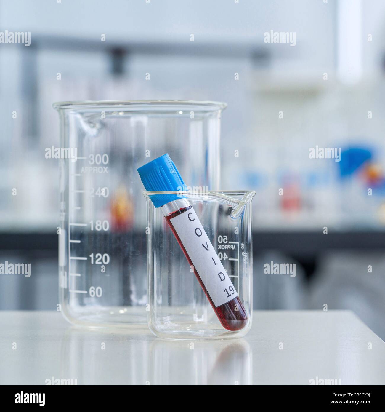 Blutentnahmeröhrchen von koviden 19 Patienten auf einem weißen Labortisch. Stockfoto