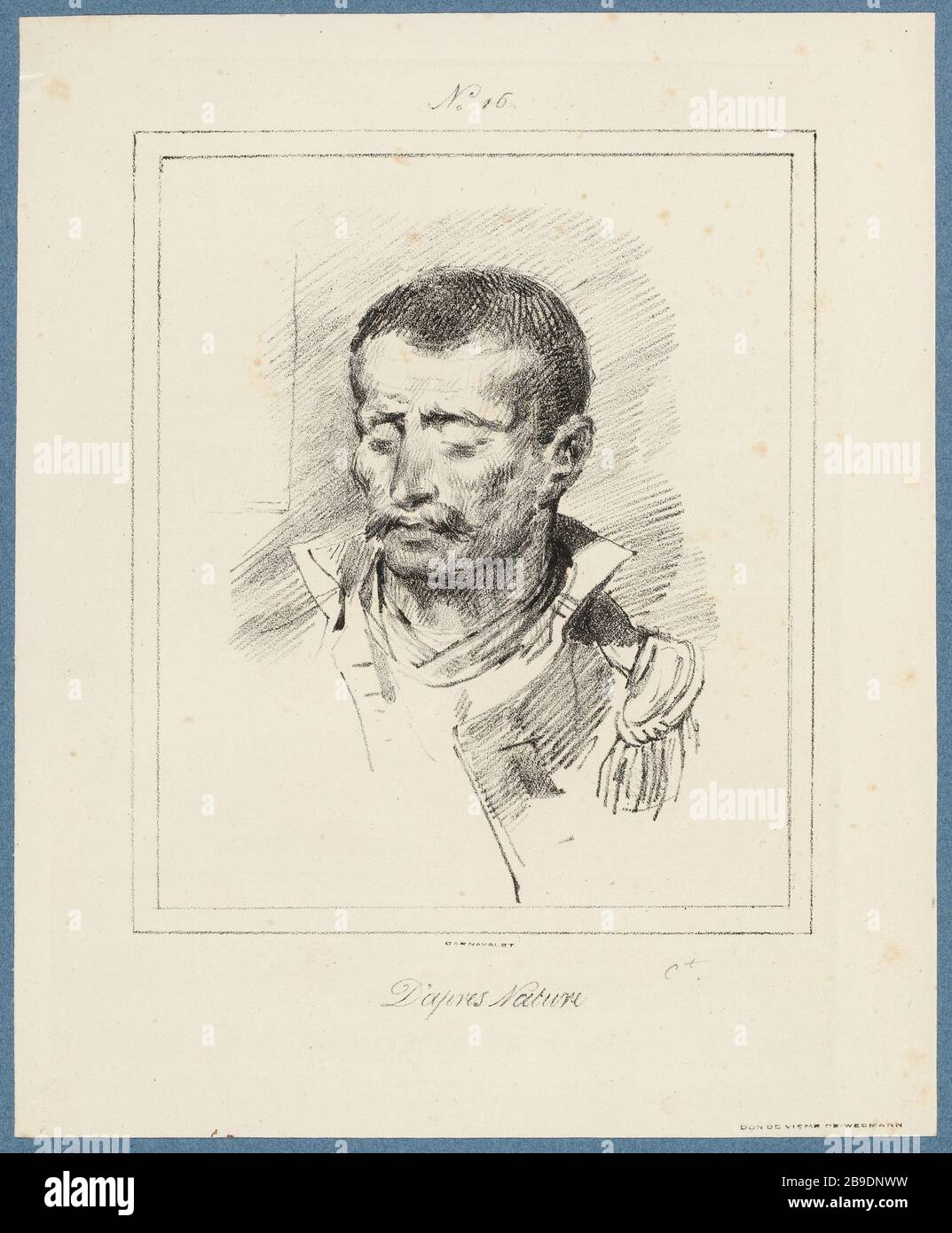 Laut Natur / Nr. 16 (wie aufgeführt) - Fantasien (unter allen) Stockfoto