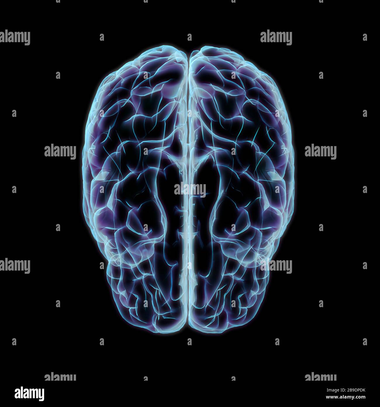 Röntgenstil des menschlichen Gehirns, Draufsicht auf schwarzem Hintergrund. Stockfoto