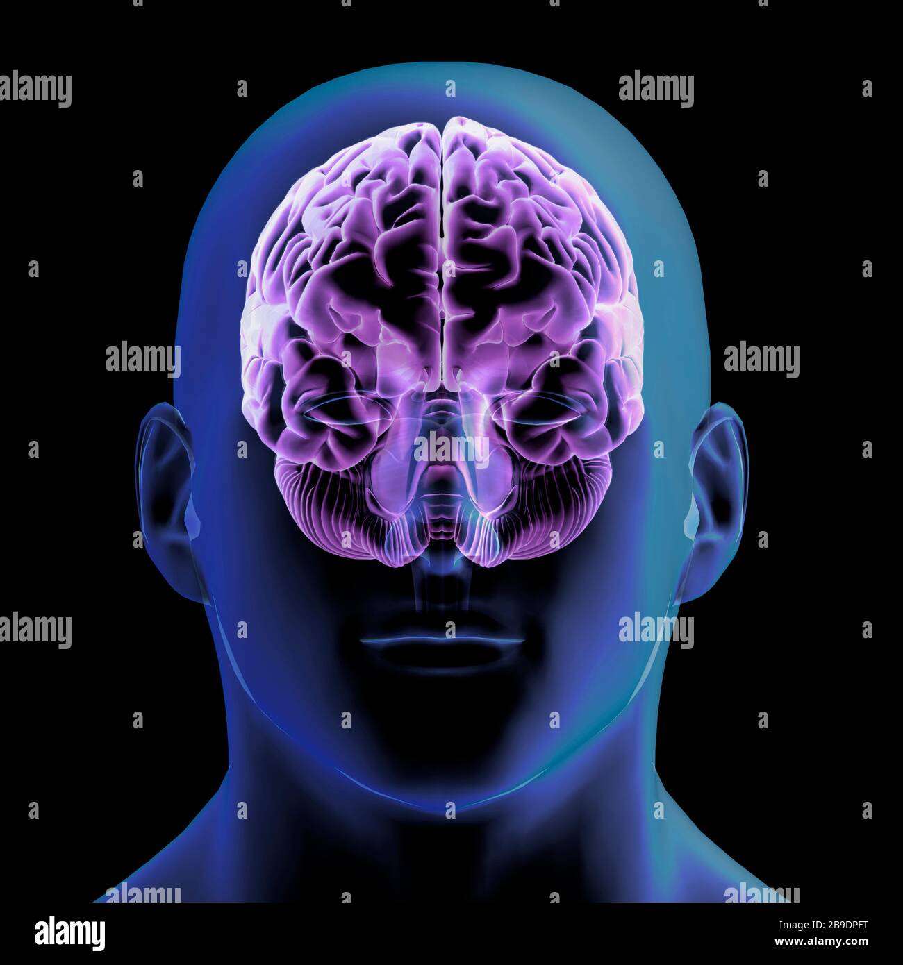 3D-Rendering von Kopf und glühendem Gehirn des Menschen, Vorderansicht auf schwarzem Hintergrund. Stockfoto