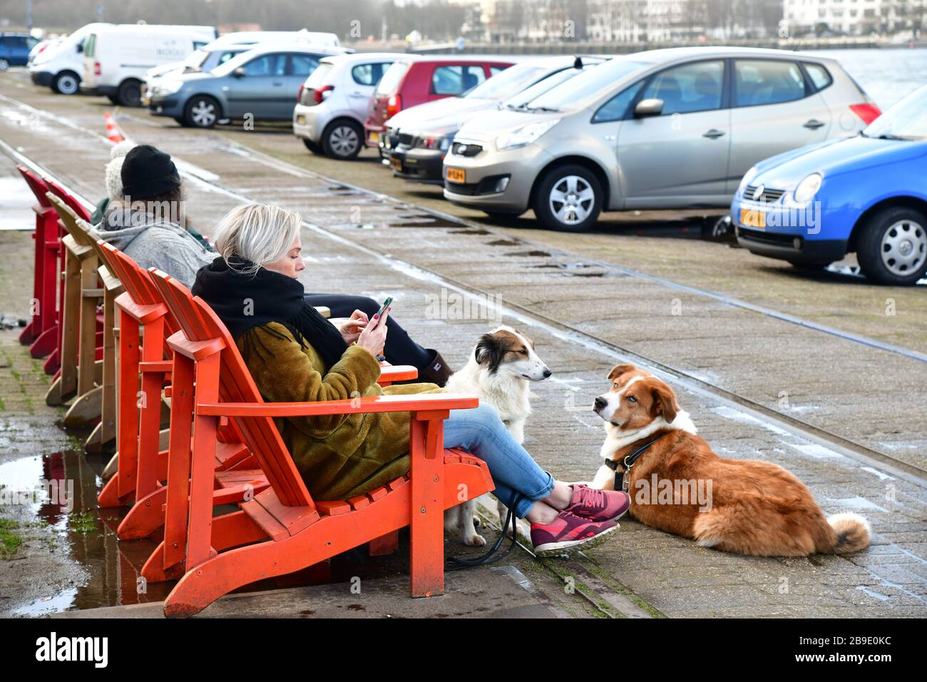 Zwei Personen mit einem Hund, die außerhalb der ehemaligen Fenix Food Factory in Rotterdam zu Mittag essen Stockfoto