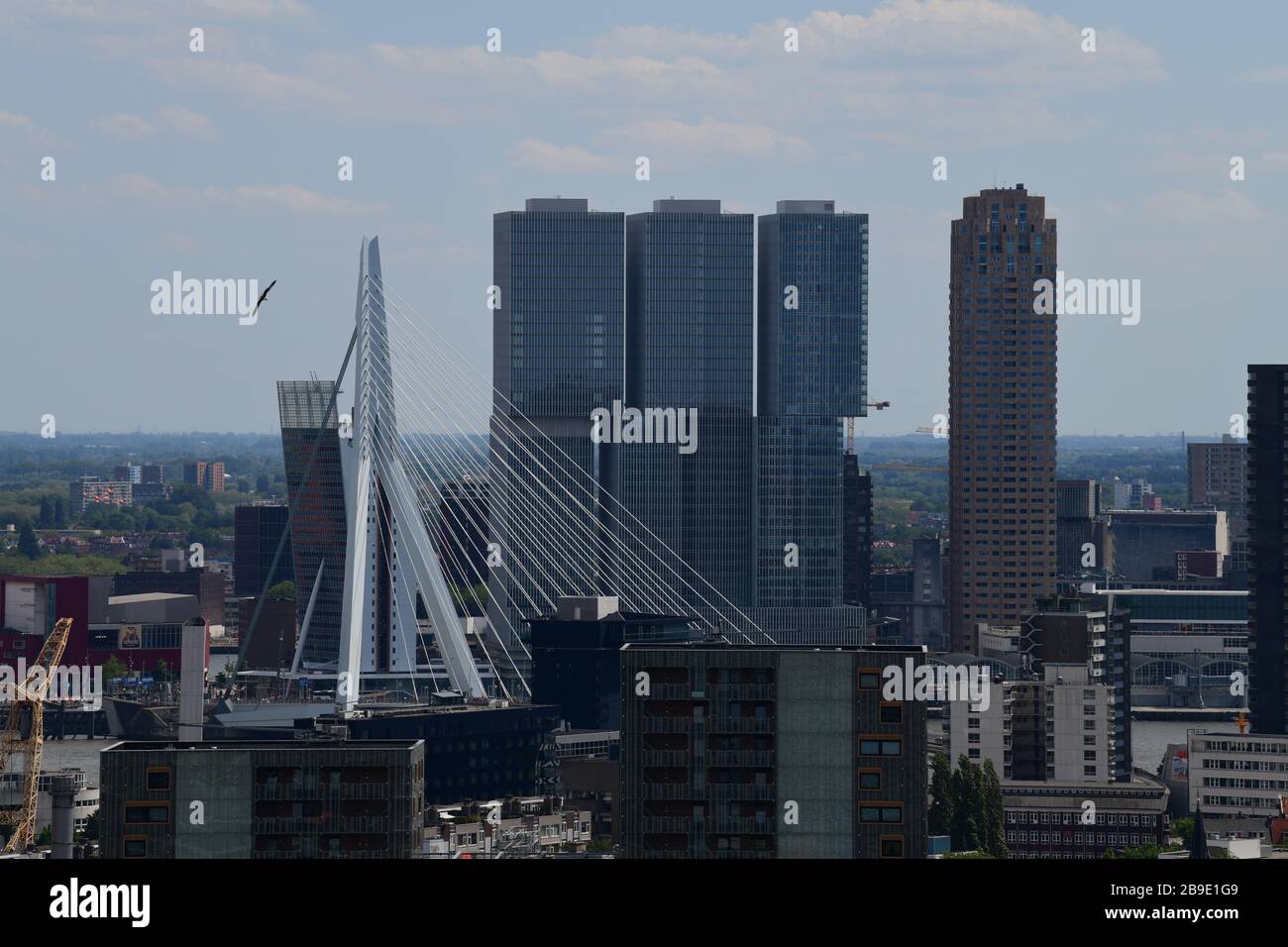 Konzentrierter Blick auf das Zentrum Rotterdams mit klarer Sicht auf Sehenswürdigkeiten wie den Erasmusbrug und das de Rotterdam-Gebäude Stockfoto