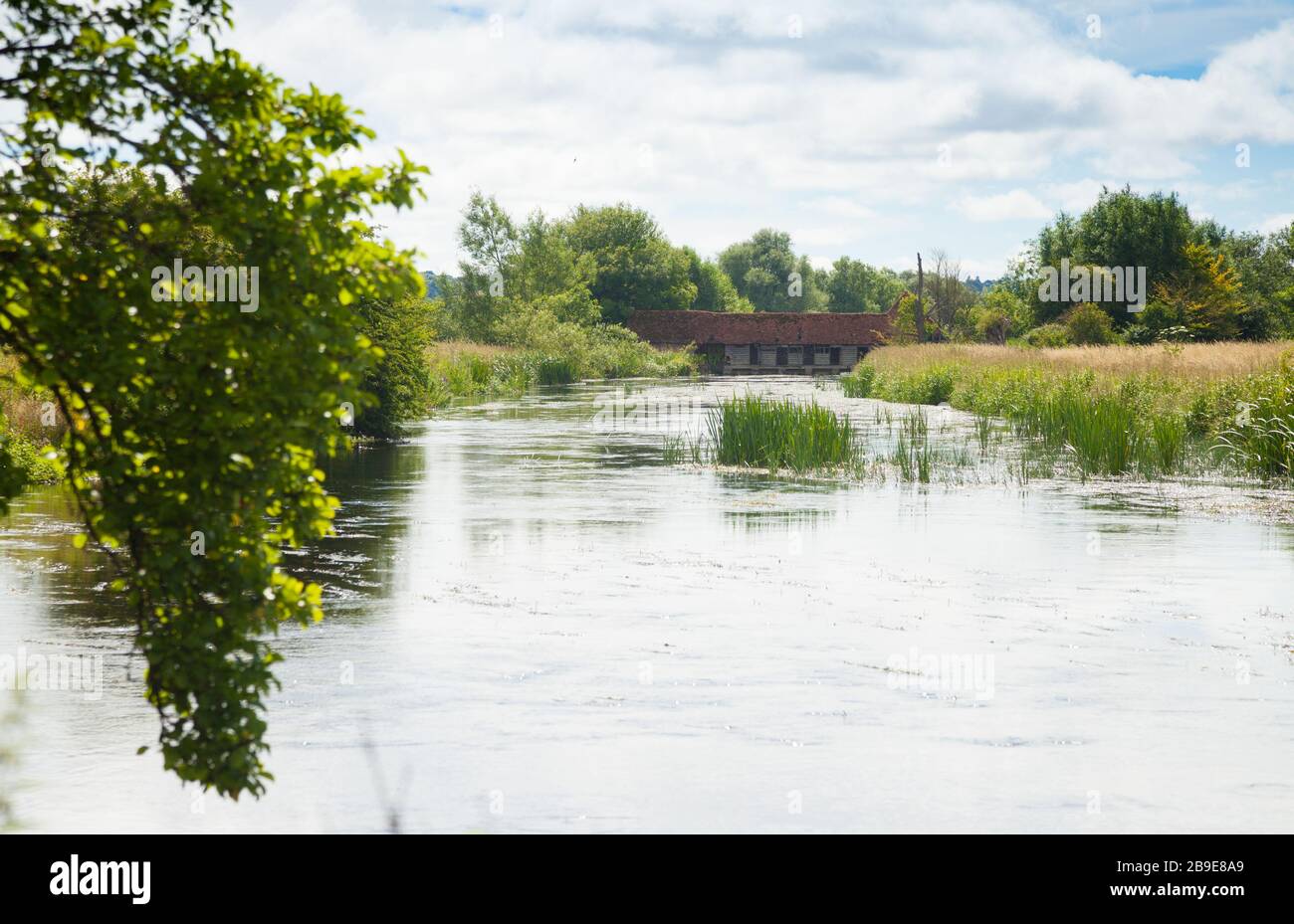 Der Fluss Avon in der Nähe des Churchill Garden's Salisbury England. Stockfoto