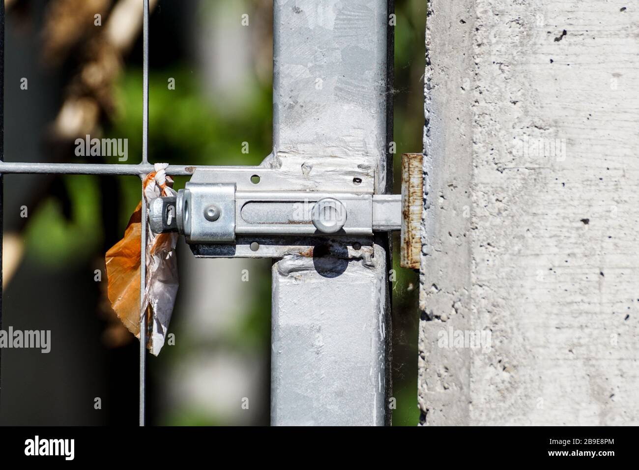 Silberne Türschraube an einer Holztür . Schließen Stockfoto