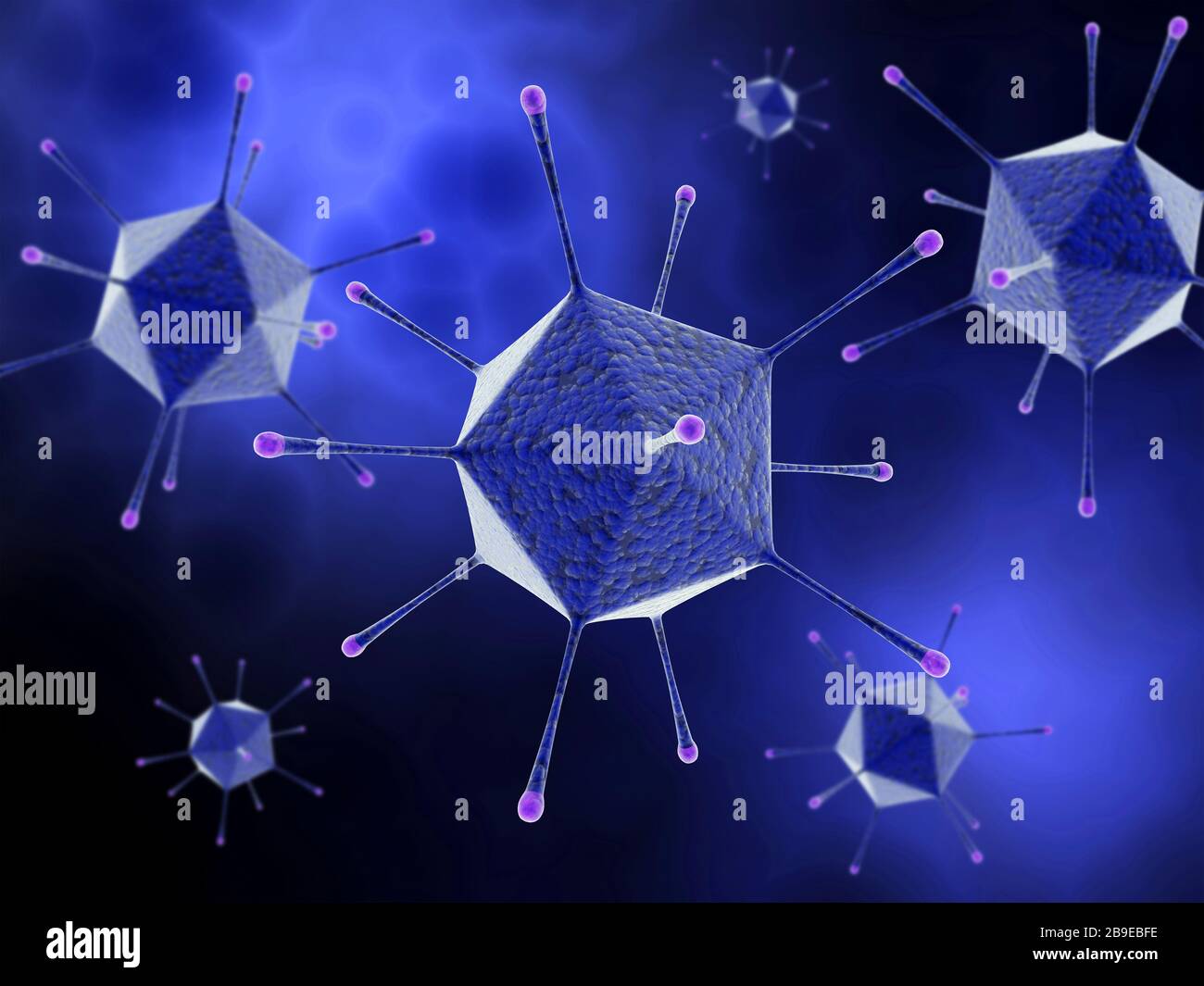 Konzeptionelles Bild des Adenovirus. Stockfoto