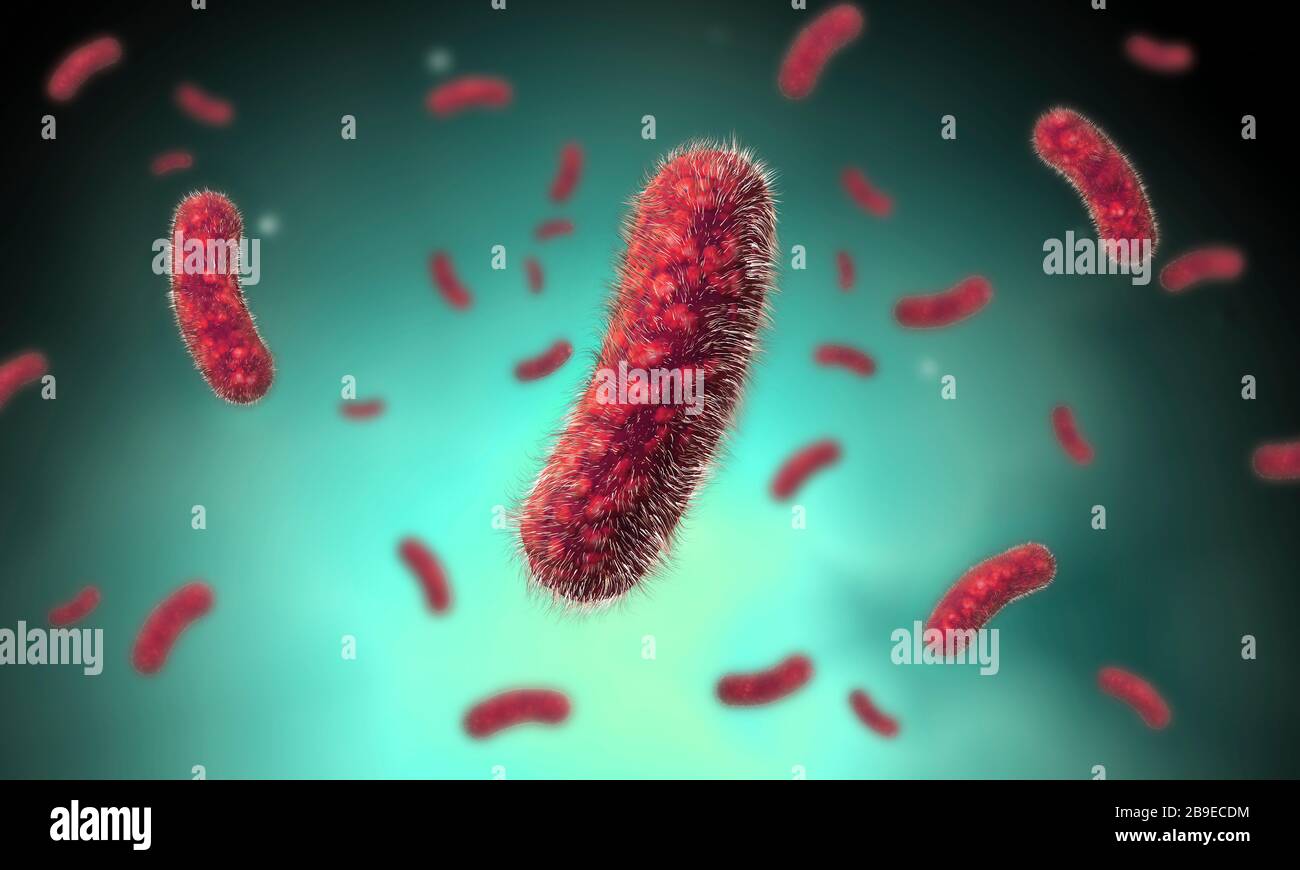Konzeptionelles Bild der Bacillus Bakterien. Stockfoto