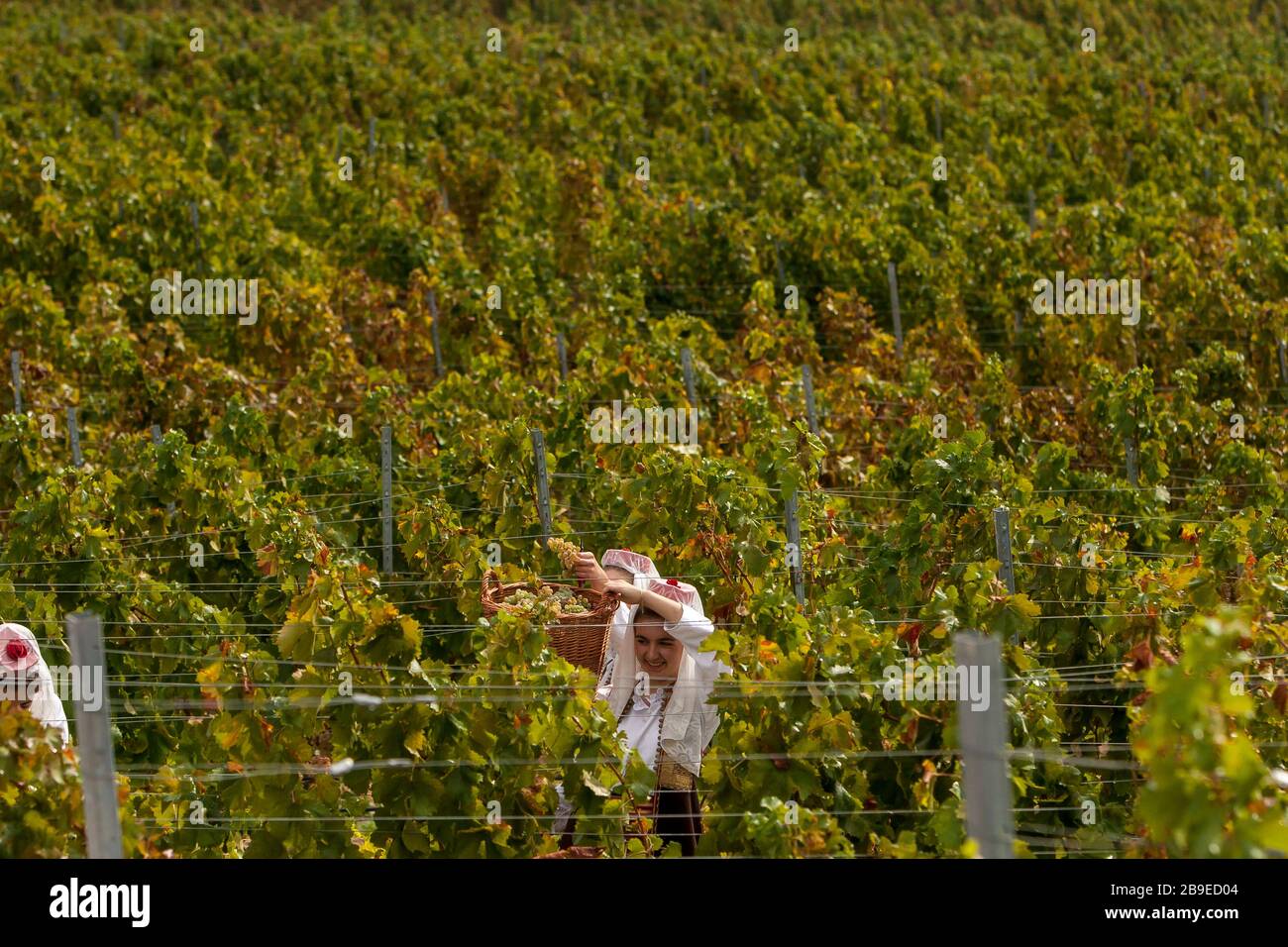 Tracht der östlichen herzegowina -Fotos und -Bildmaterial in hoher
