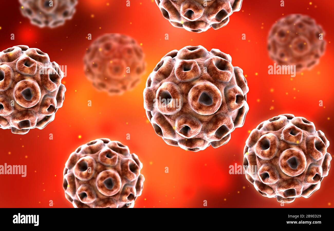 Konzeptionelles Bild des humanen Papillomavirus-Infektionsvirus. Stockfoto