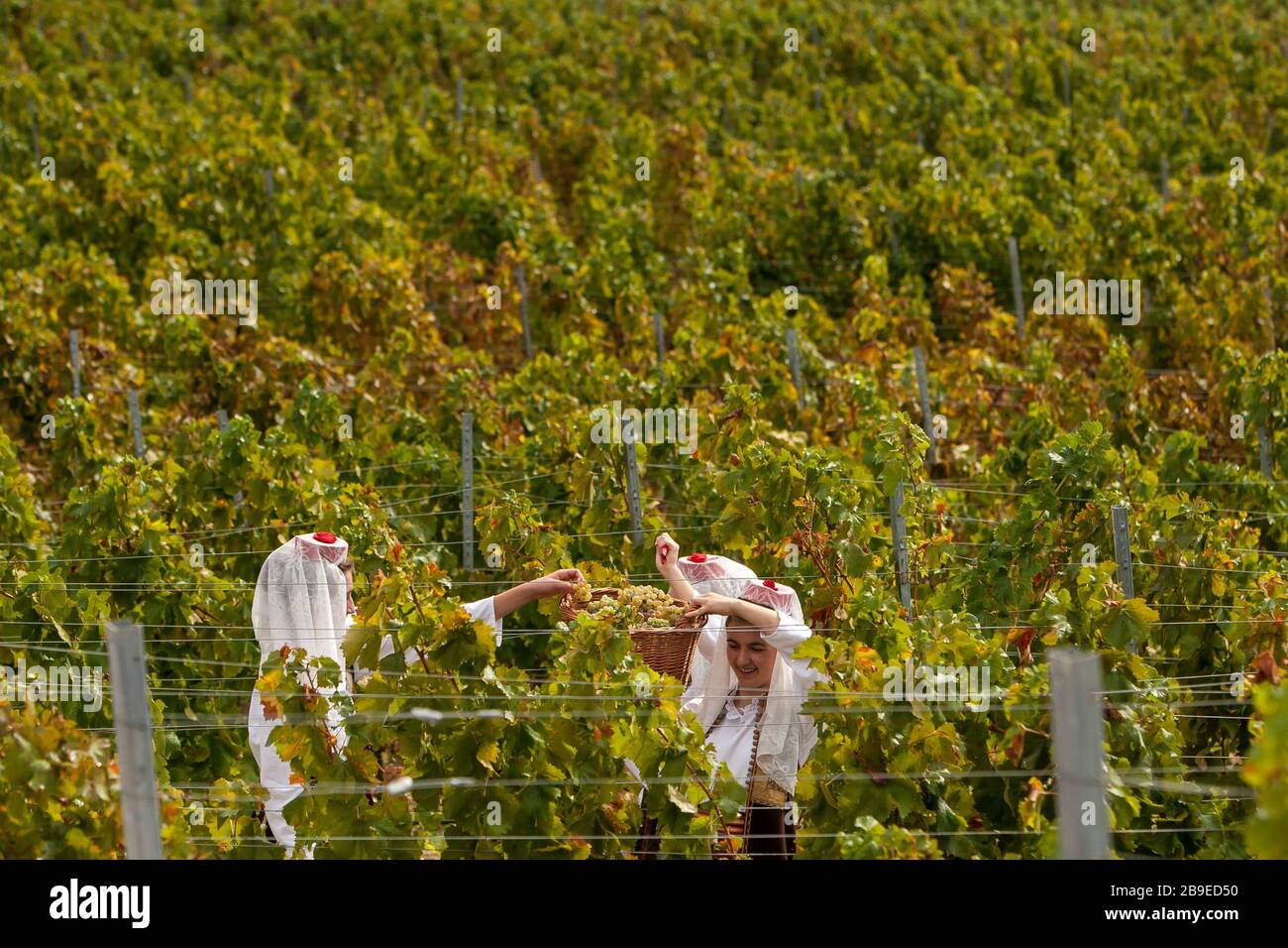Tracht der östlichen herzegowina -Fotos und -Bildmaterial in hoher
