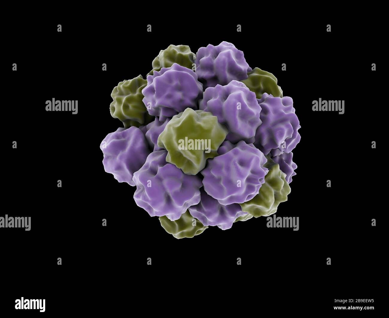 Konzeptionelles Bild eines einzigen Norovirus. Stockfoto