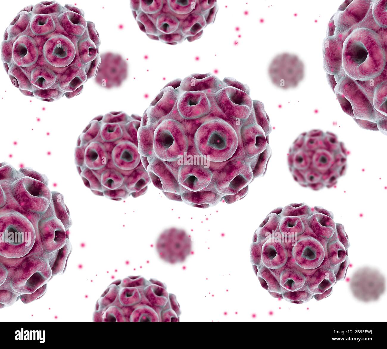 Konzeptionelles Bild des humanen Papillomavirus-Infektionsvirus. Stockfoto