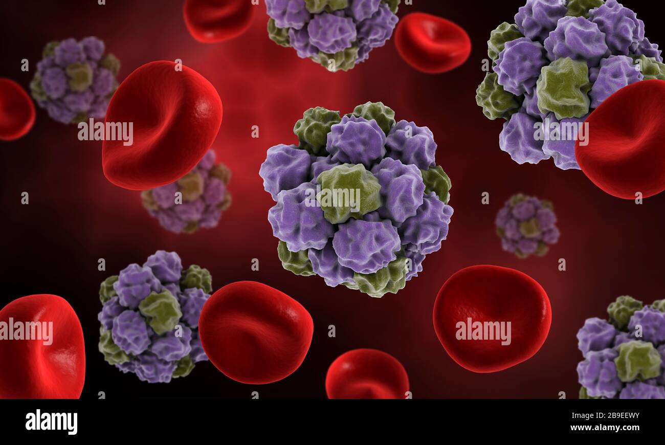 Norovirus Infection Stockfotos Und Bilder Kaufen Alamy