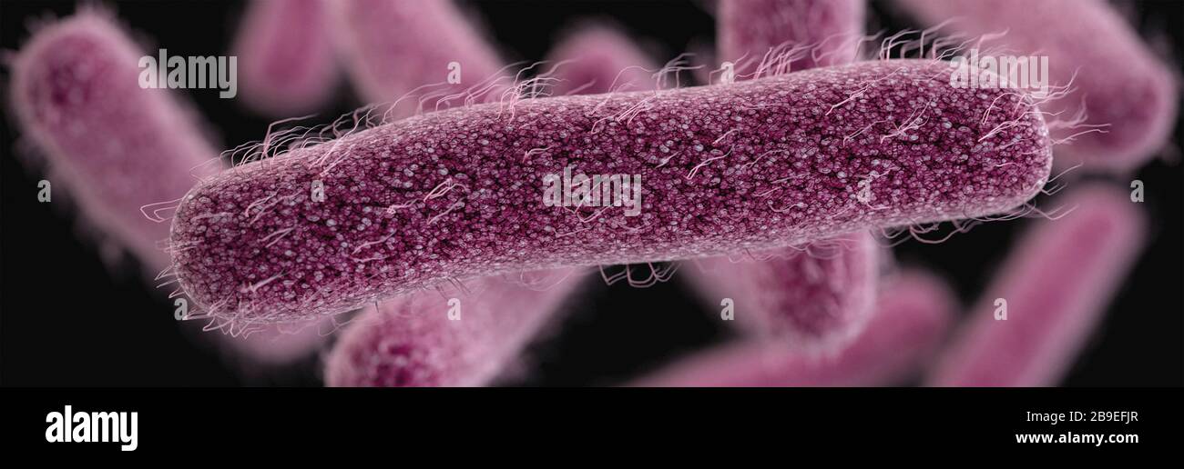 3D-Darstellung der stabförmigen, resistenten Shigella-Bakterien. Stockfoto